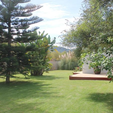 Villa Ca Na Vinya Cala Tarida  Bagian luar foto