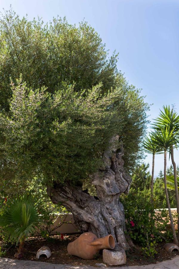Villa Ca Na Vinya Cala Tarida  Bagian luar foto